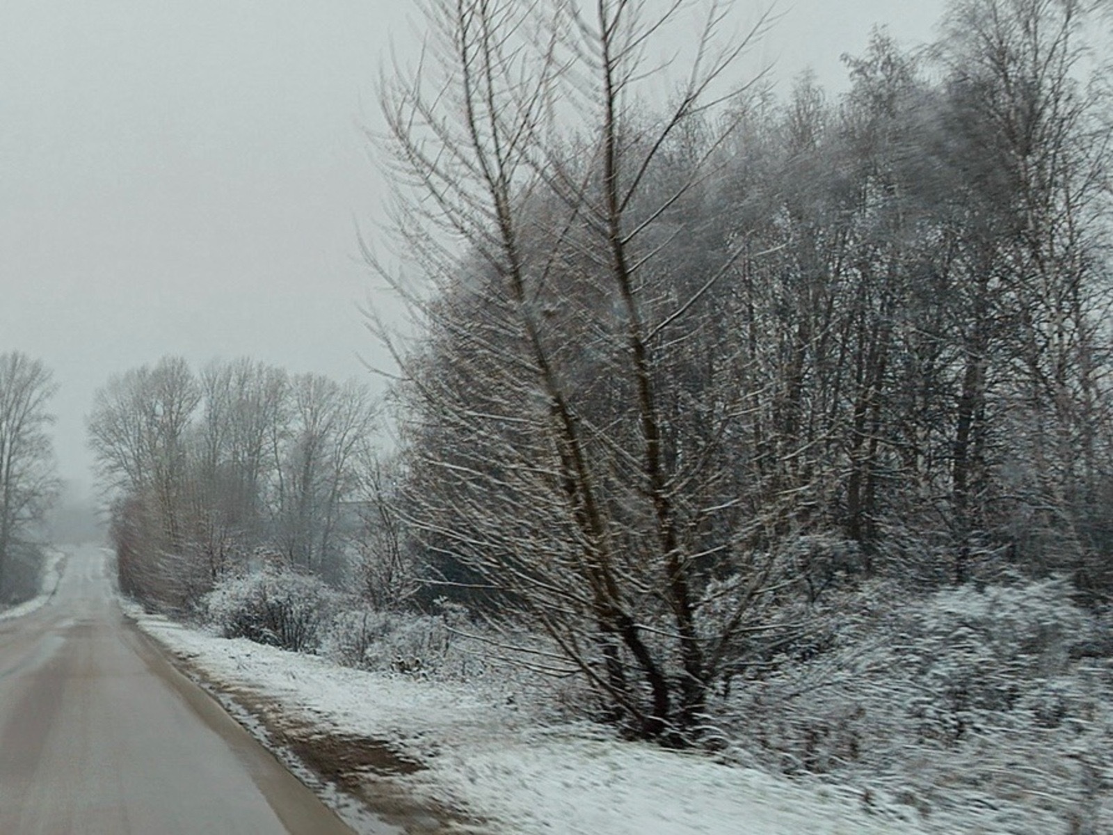 Сотни жизней и тысячи километров: отряд ЛизаАлерт подвел итоги года в Башкирии
