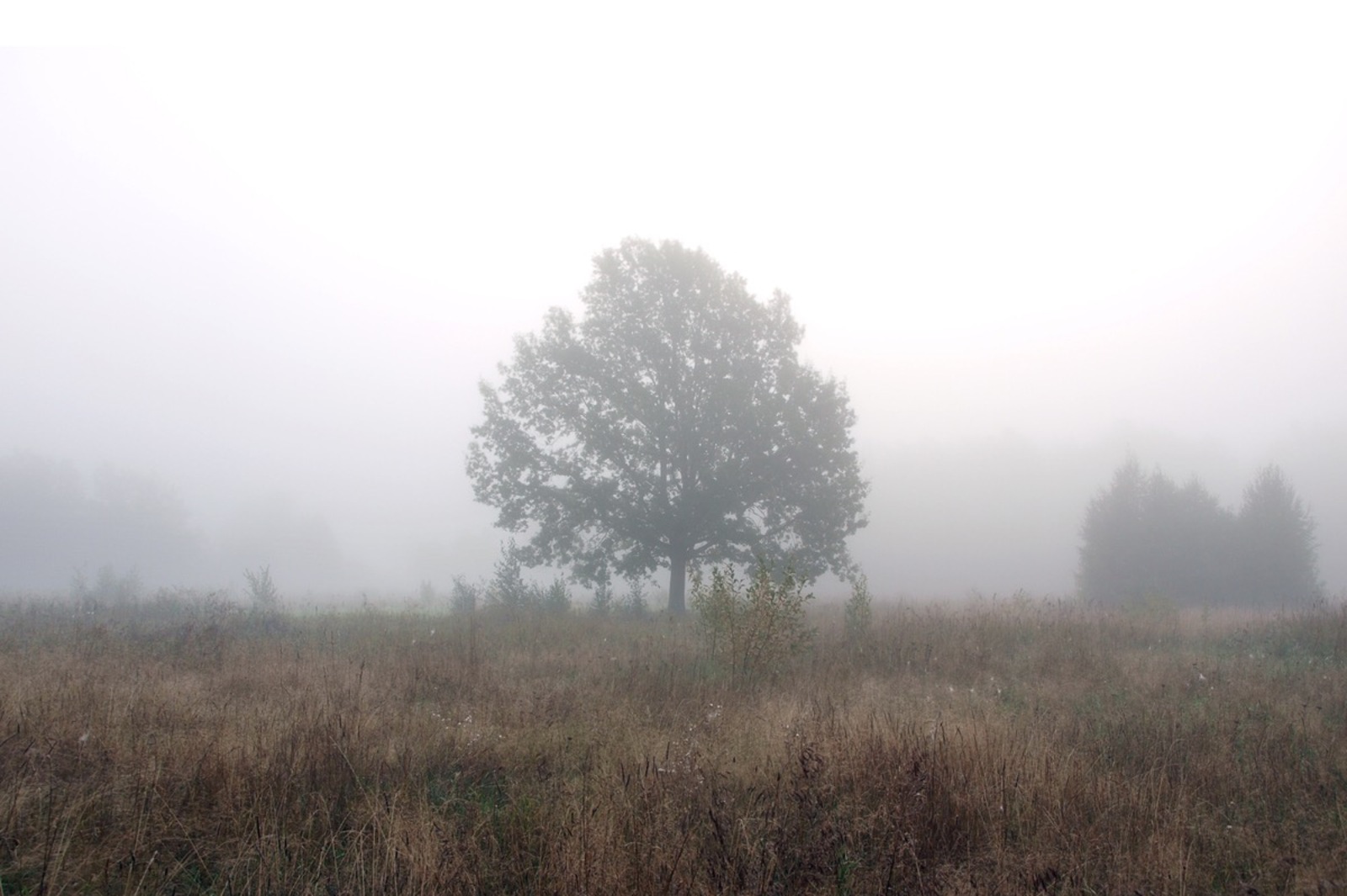 Александр Королев fotobank02.ru