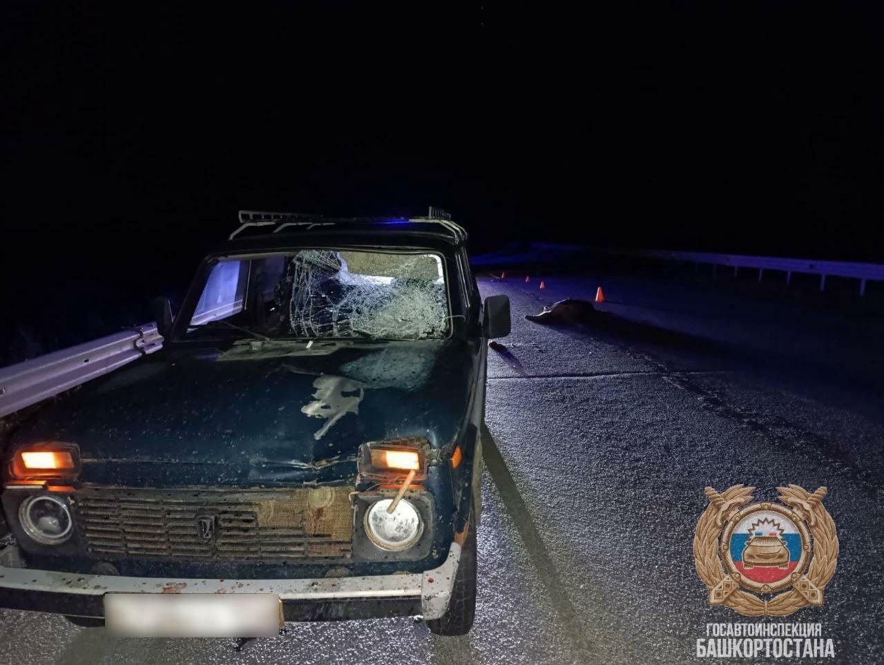 В выходные на дорогах Башкирии в ДТП погибли два пешехода