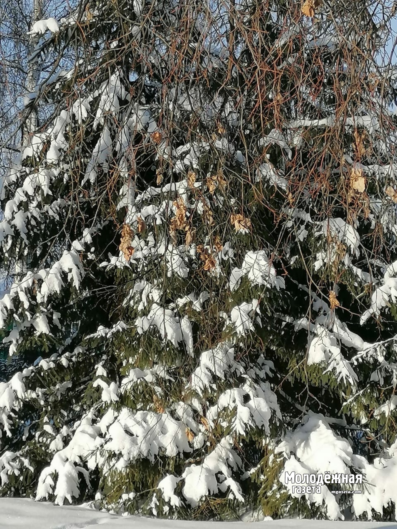 В Башкирии двое детей потерялись на тропе здоровья