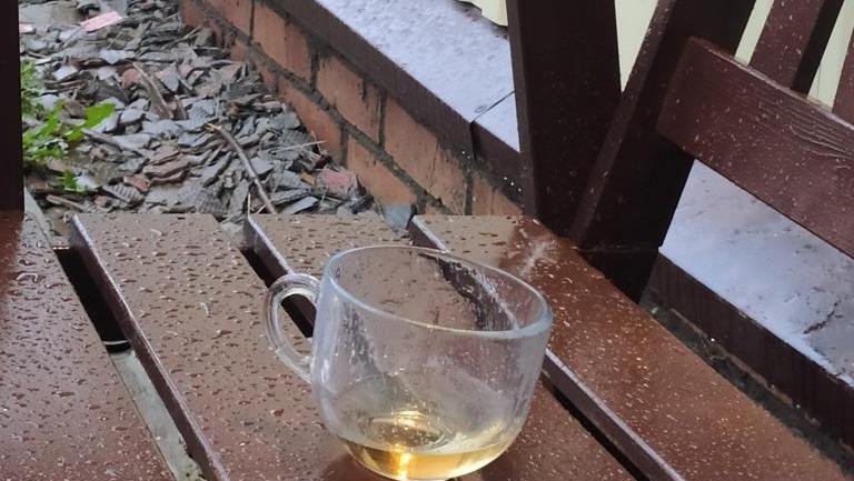 В Башкирии на выходных ожидаются дожди и грозы