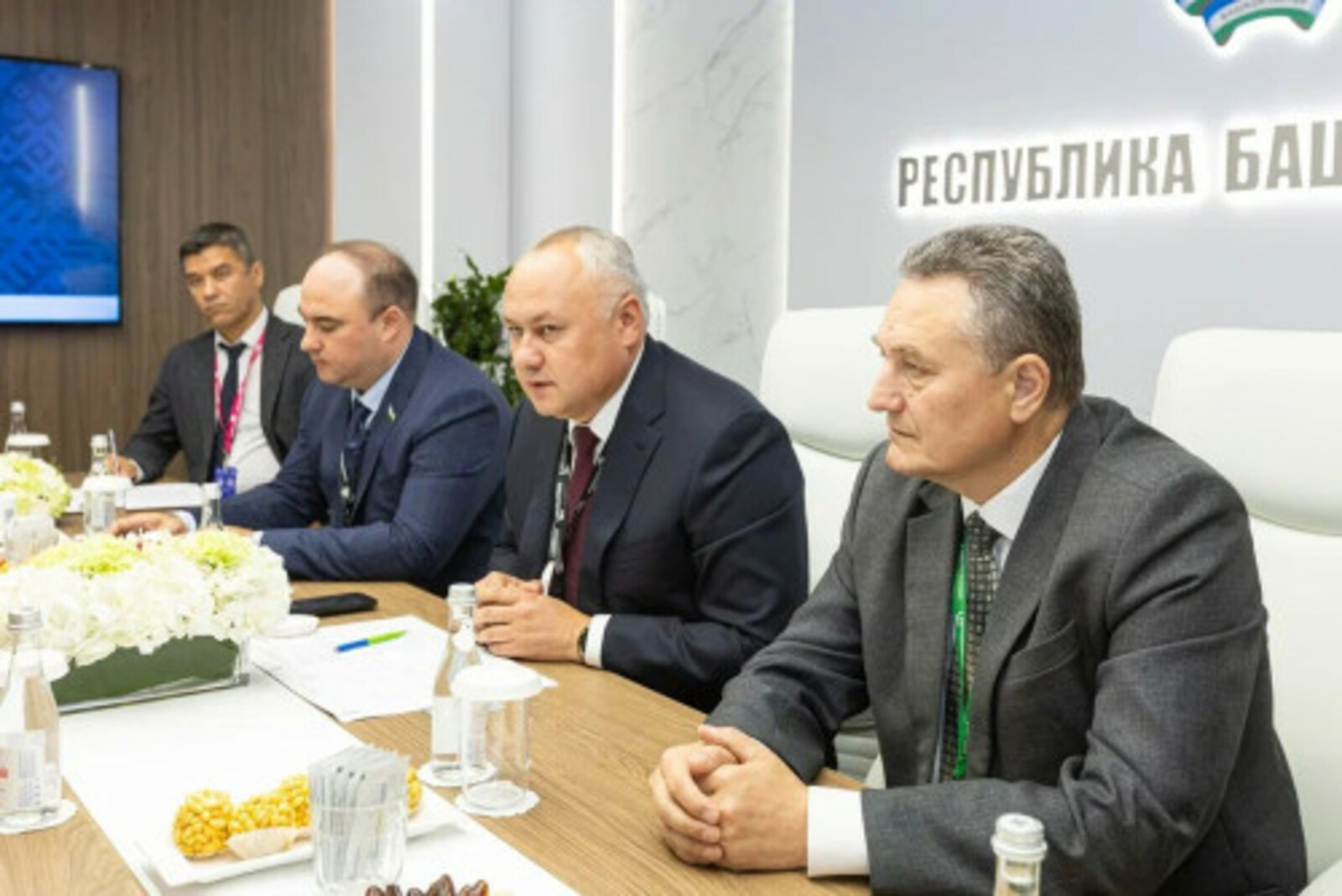 Башкирия и китайский концерн BYD планируют развивать совместные проекты