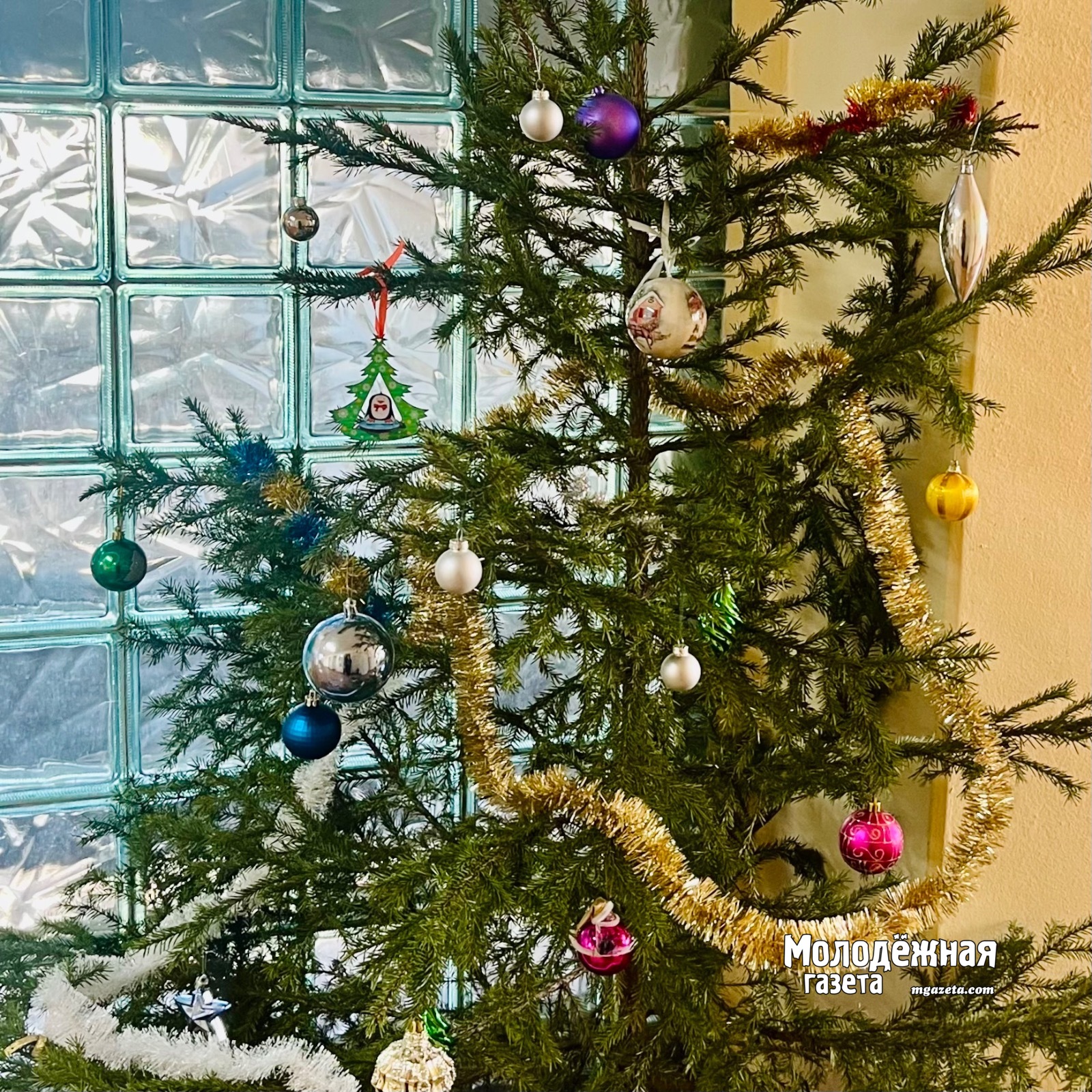 В Уфе елочные базары откроются 15 декабря