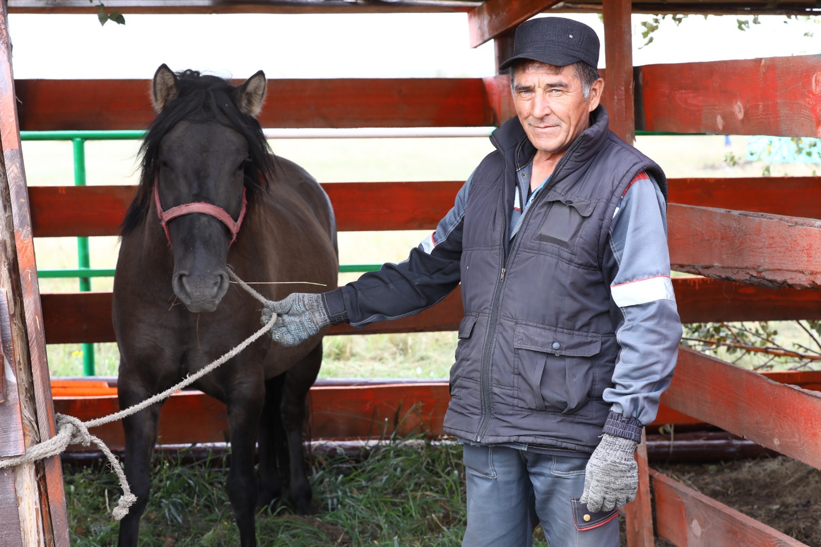 Какая лошадь станет лучшей на «Башҡорт аты»?