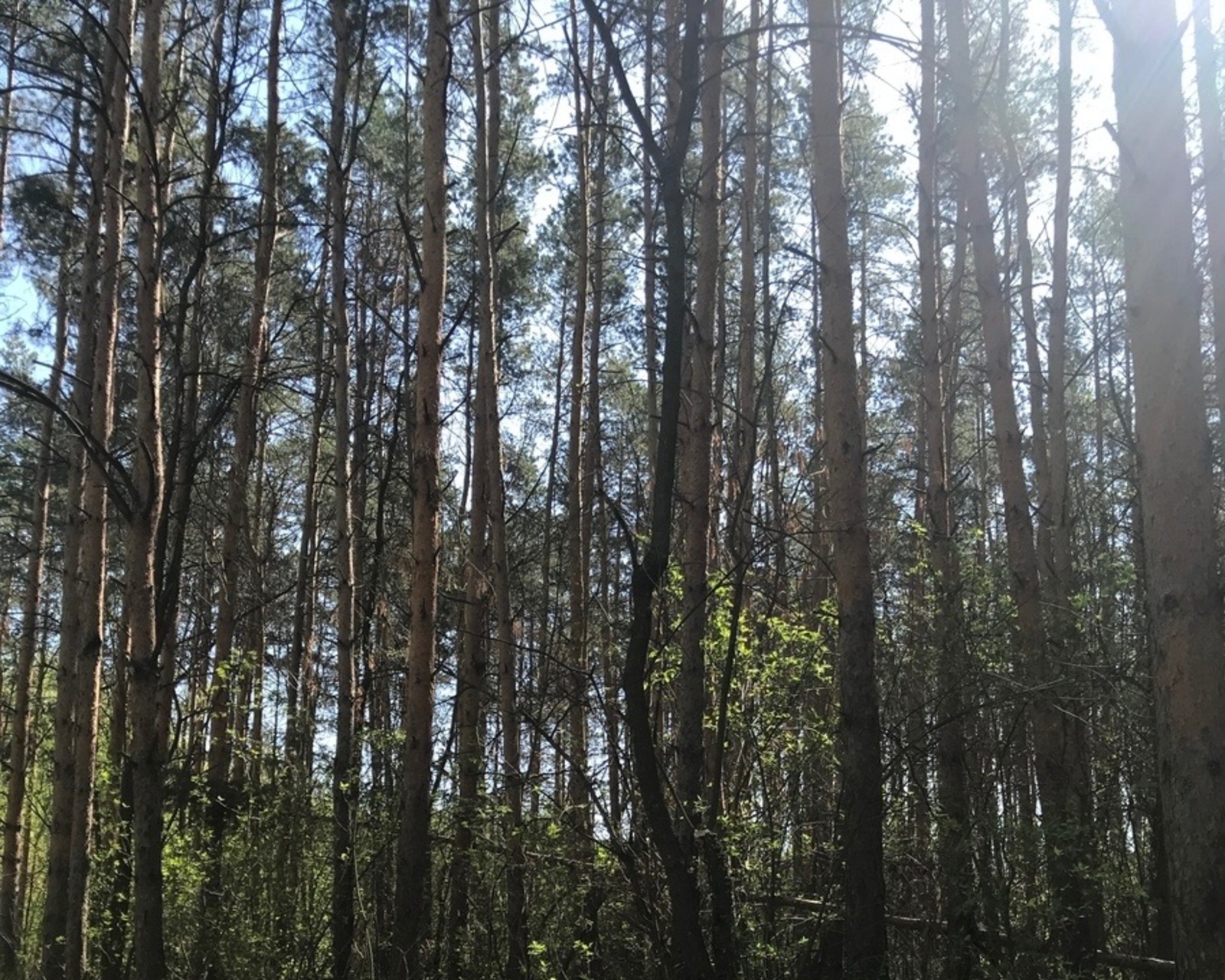 Анастасия Ададурова fotobank02.ru