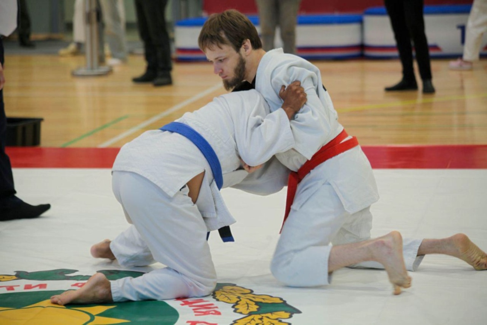 Инициативу Башкирии поддержала Российская федерация джиу-джитсу