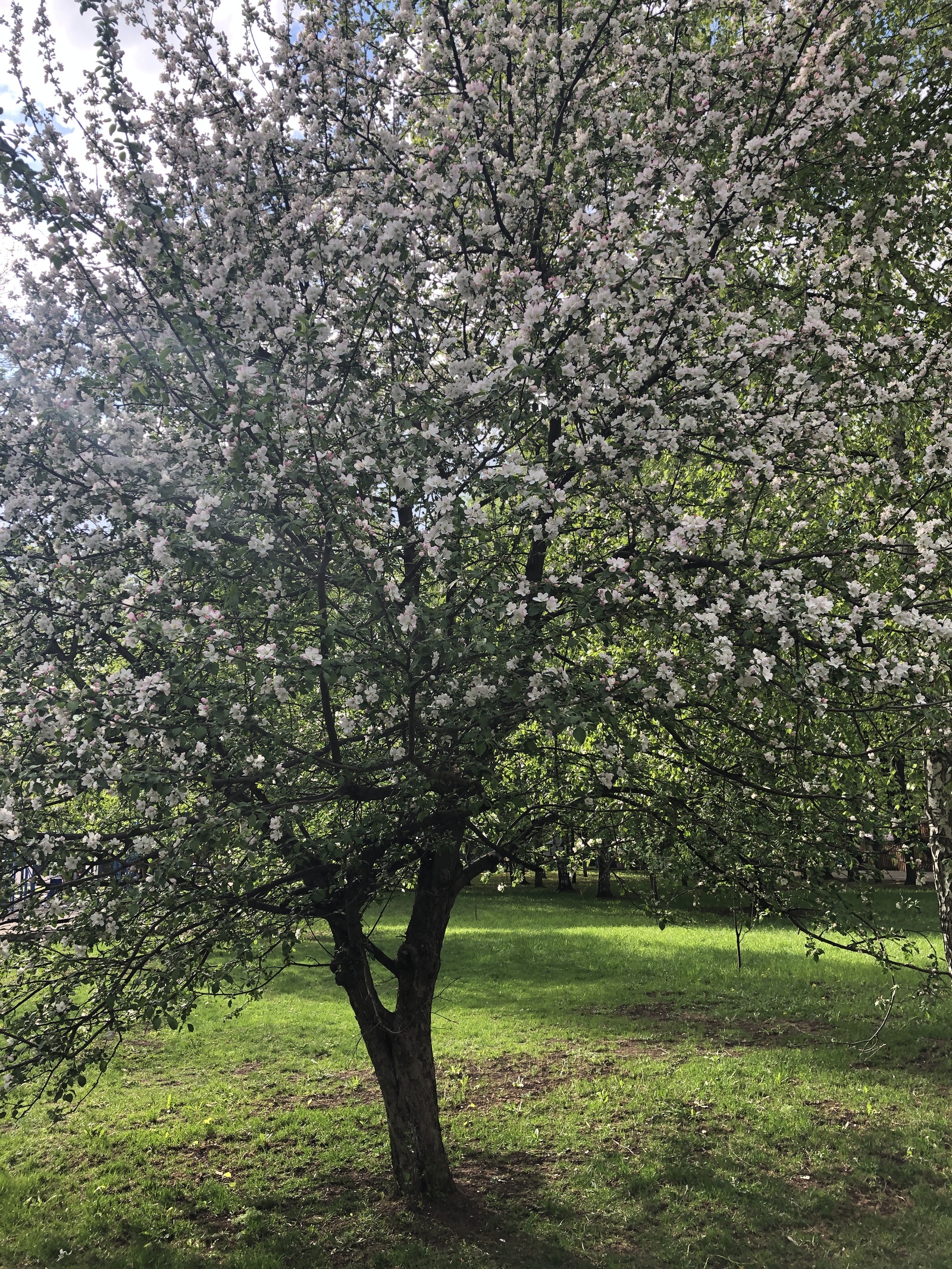 В Башкирии местами ожидаются небольшие дожди