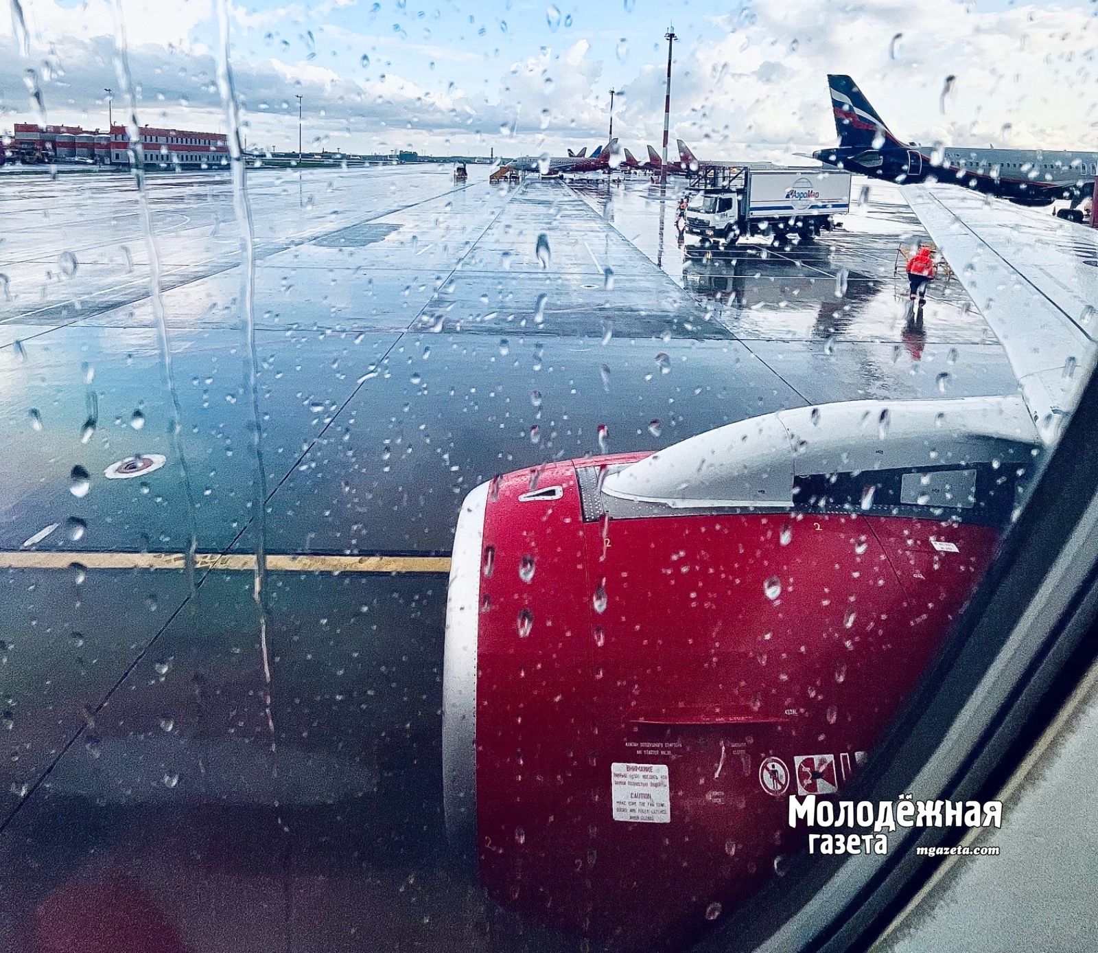 Авиадебошир из Уфы получил условный срок