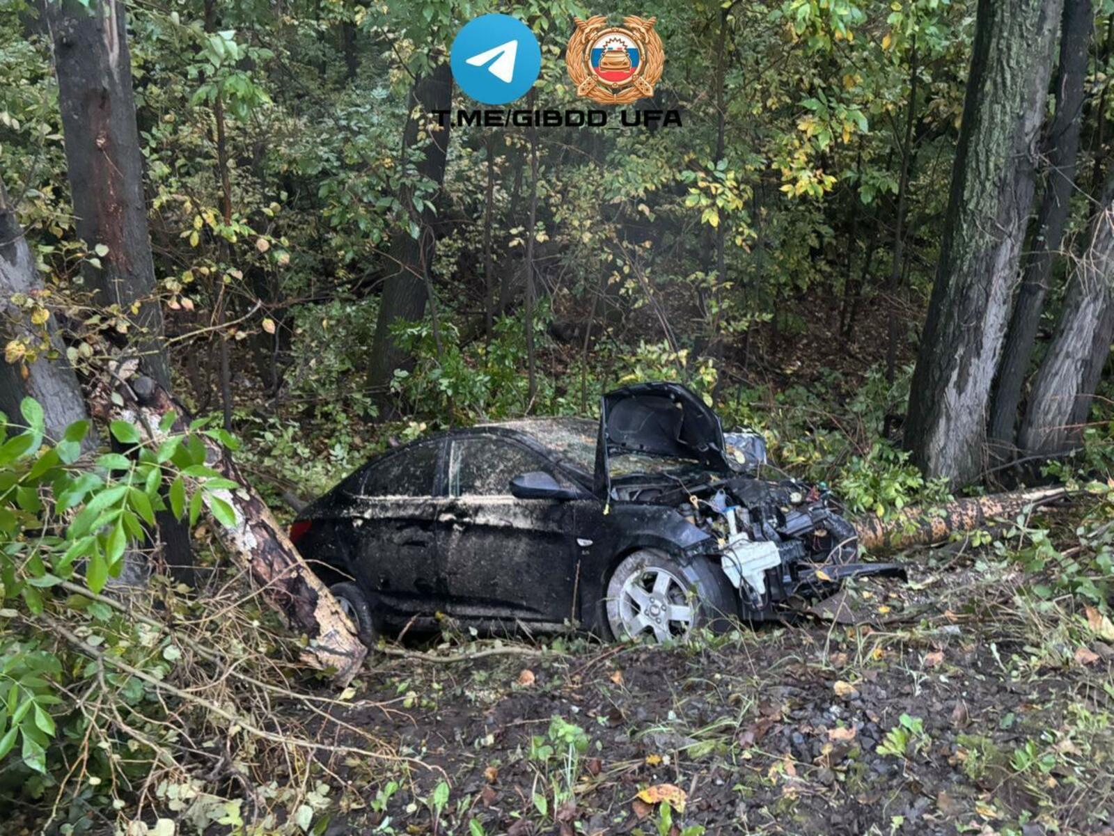 В Башкирии водитель «Hyundai Solaris» съехал в кювет и врезался в дерево