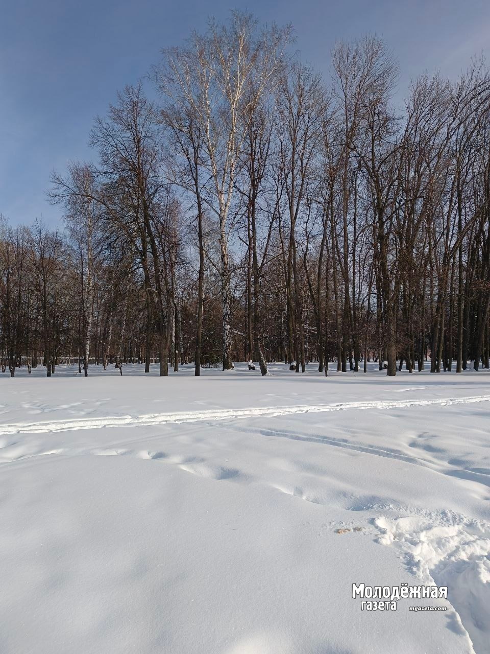 Метель и заносы на дорогах: прогноз погоды в Башкирии на выходные