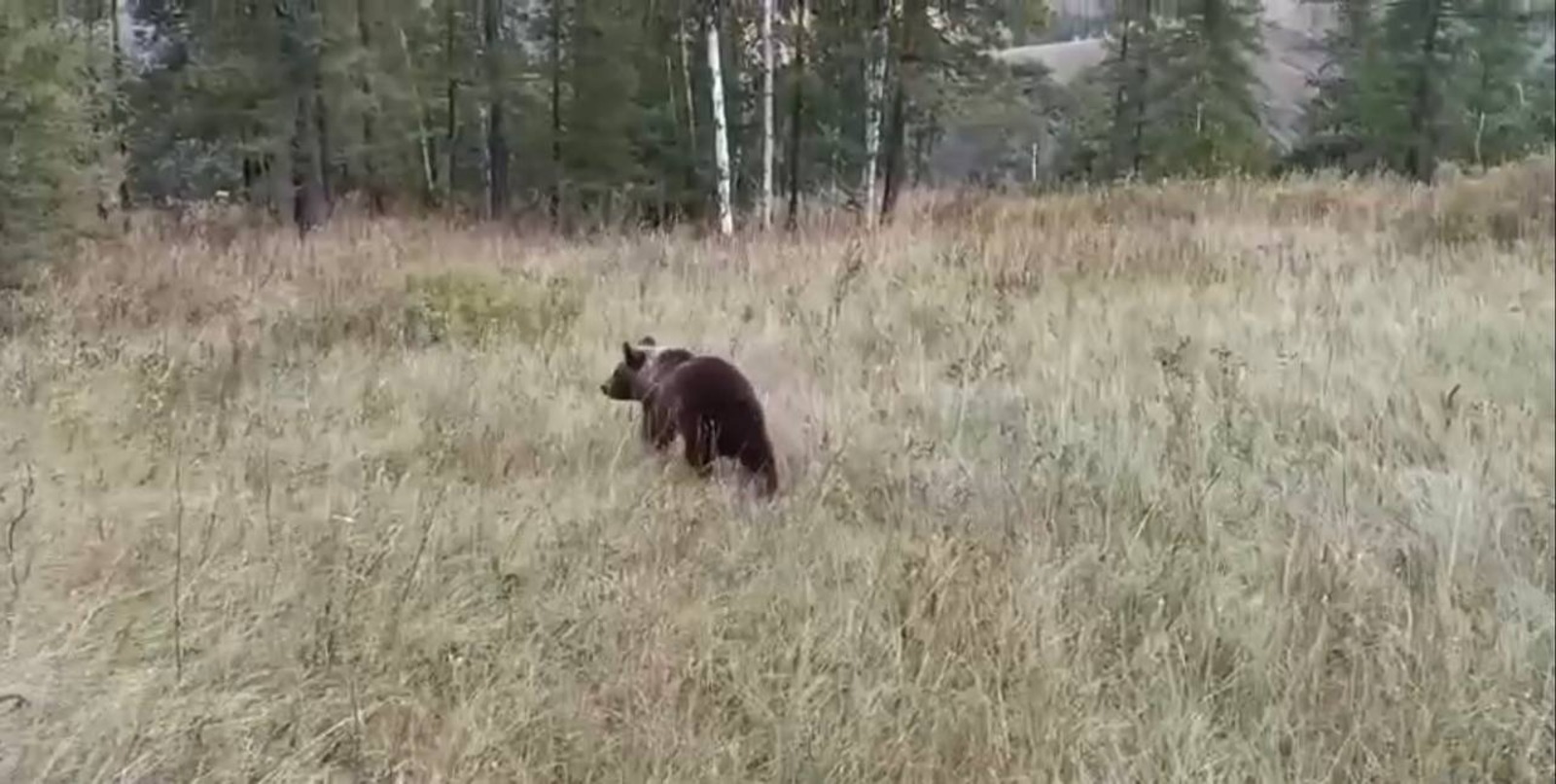 скриншот из видео Минэкологии РБ