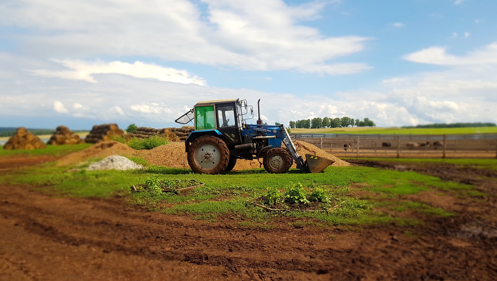 Гибель 31-летнего тракториста расследована в Башкирии