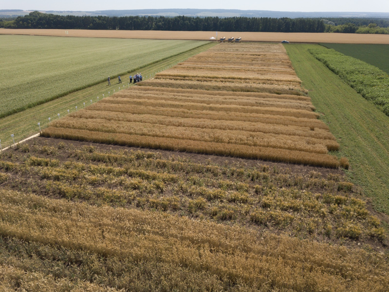 правительство РБ