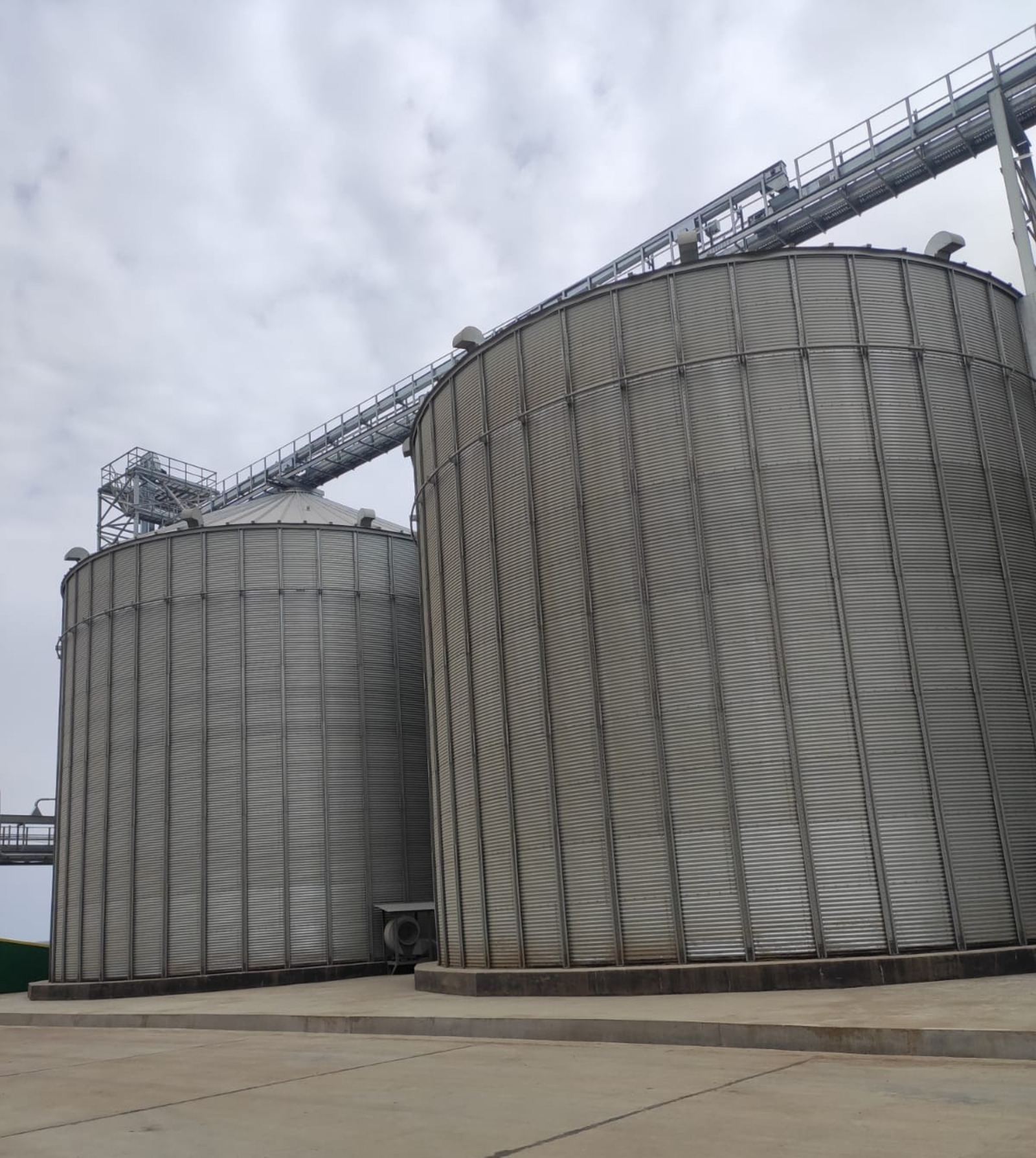 Башкирия и Беларусь расширяют сотрудничество в АПК