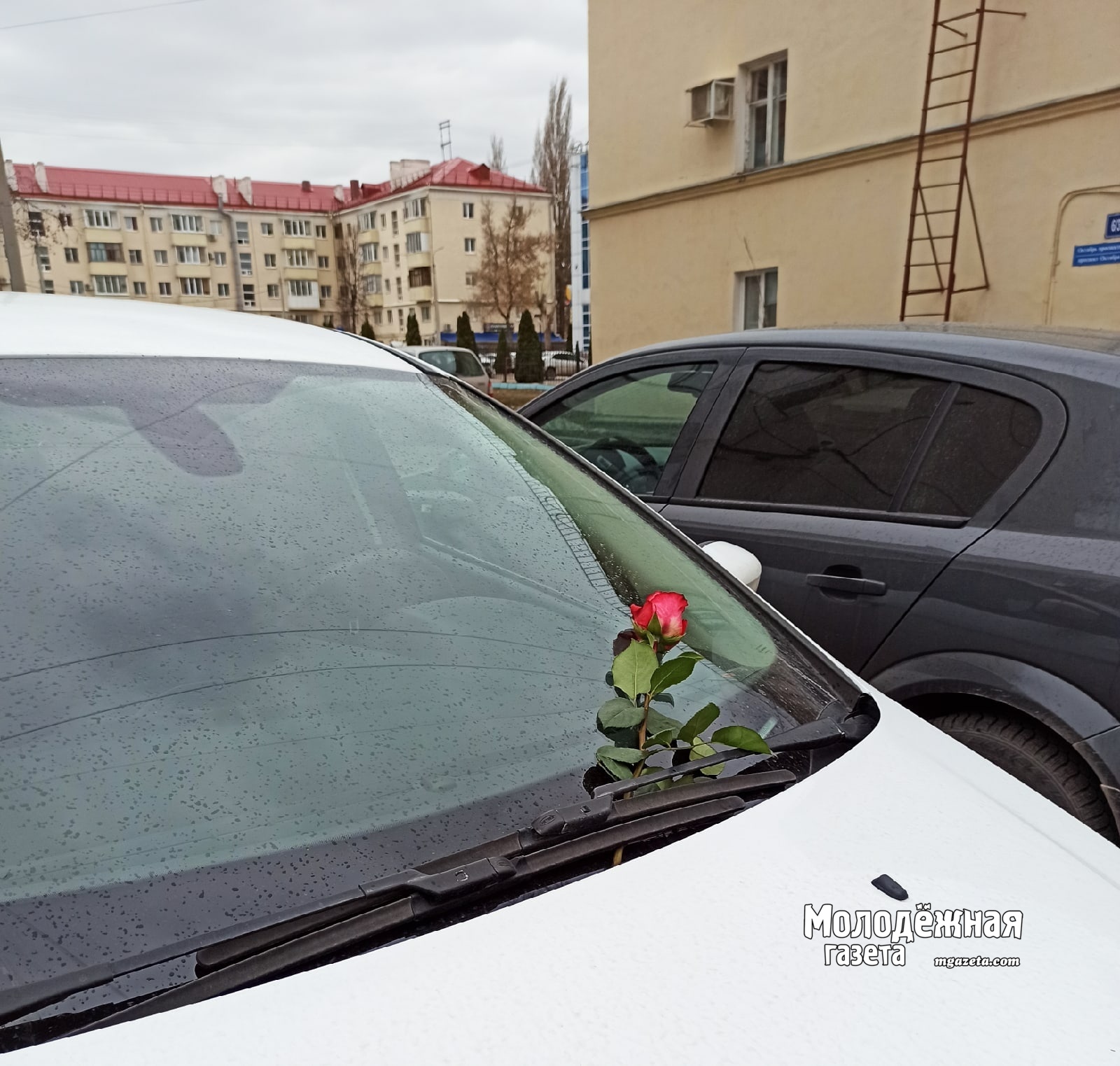 Стало известно, когда в Уфе заработают платные парковки